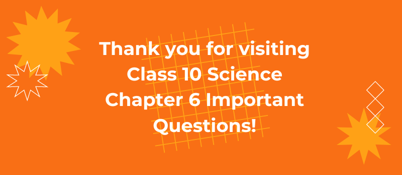 Class 10 Science Chapter 6 Important Questions 