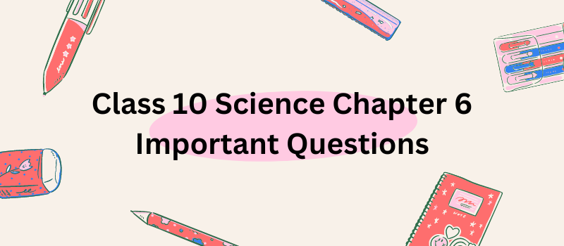 Class 10 Science Chapter 6 Important Questions